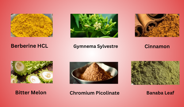 BloodArmor Ingredients 