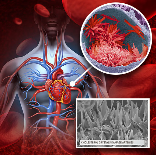 CardioC2 Benefits