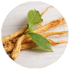 MemoShield - Panax Ginseng