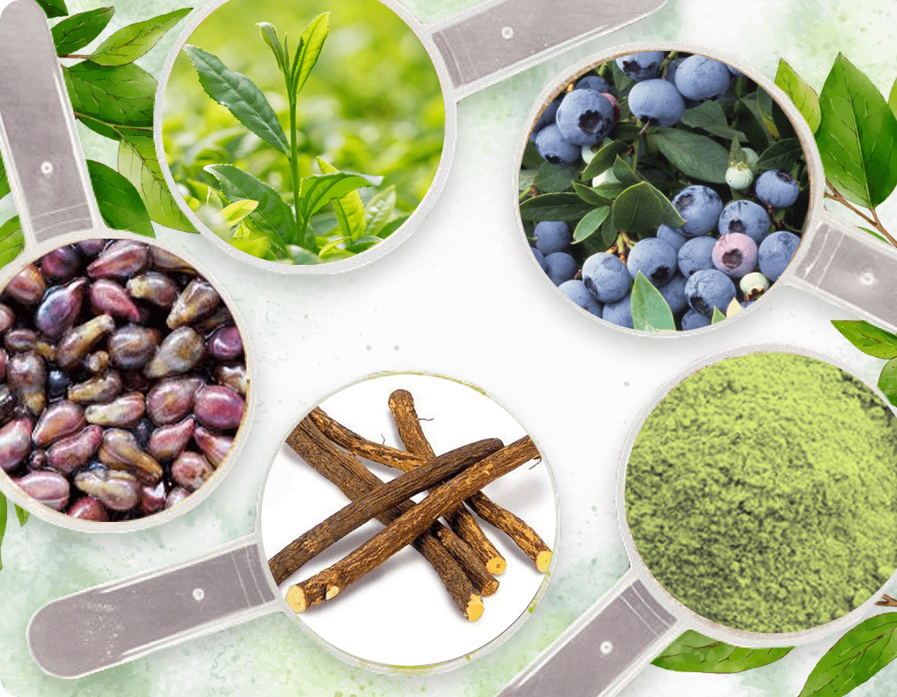 Neuro Serge Ingredients