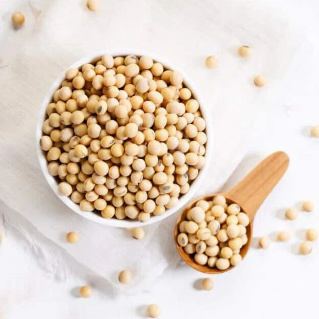 Neuro Sharp Phosphatidylserine