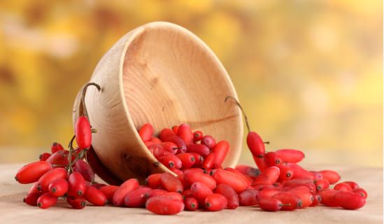 Purisaki Berberine Patches Berberine Extract