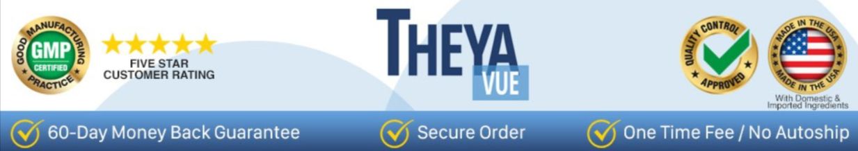 TheyaVue Certifications