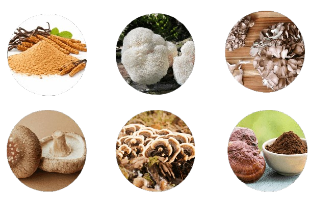 Mindoxa_Ingredients