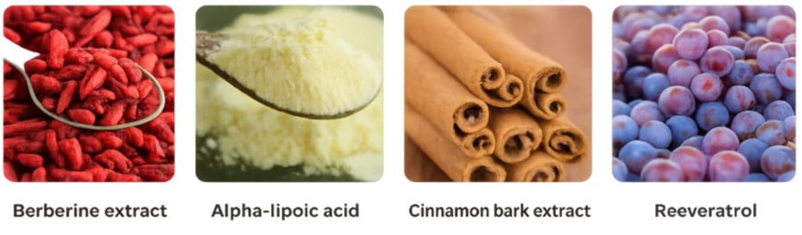 Sugar Control Ingredients
